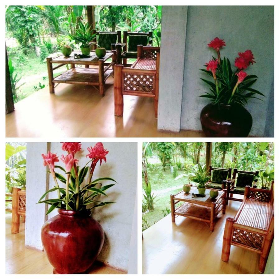 House Banaba Tree Holiday home Samboan